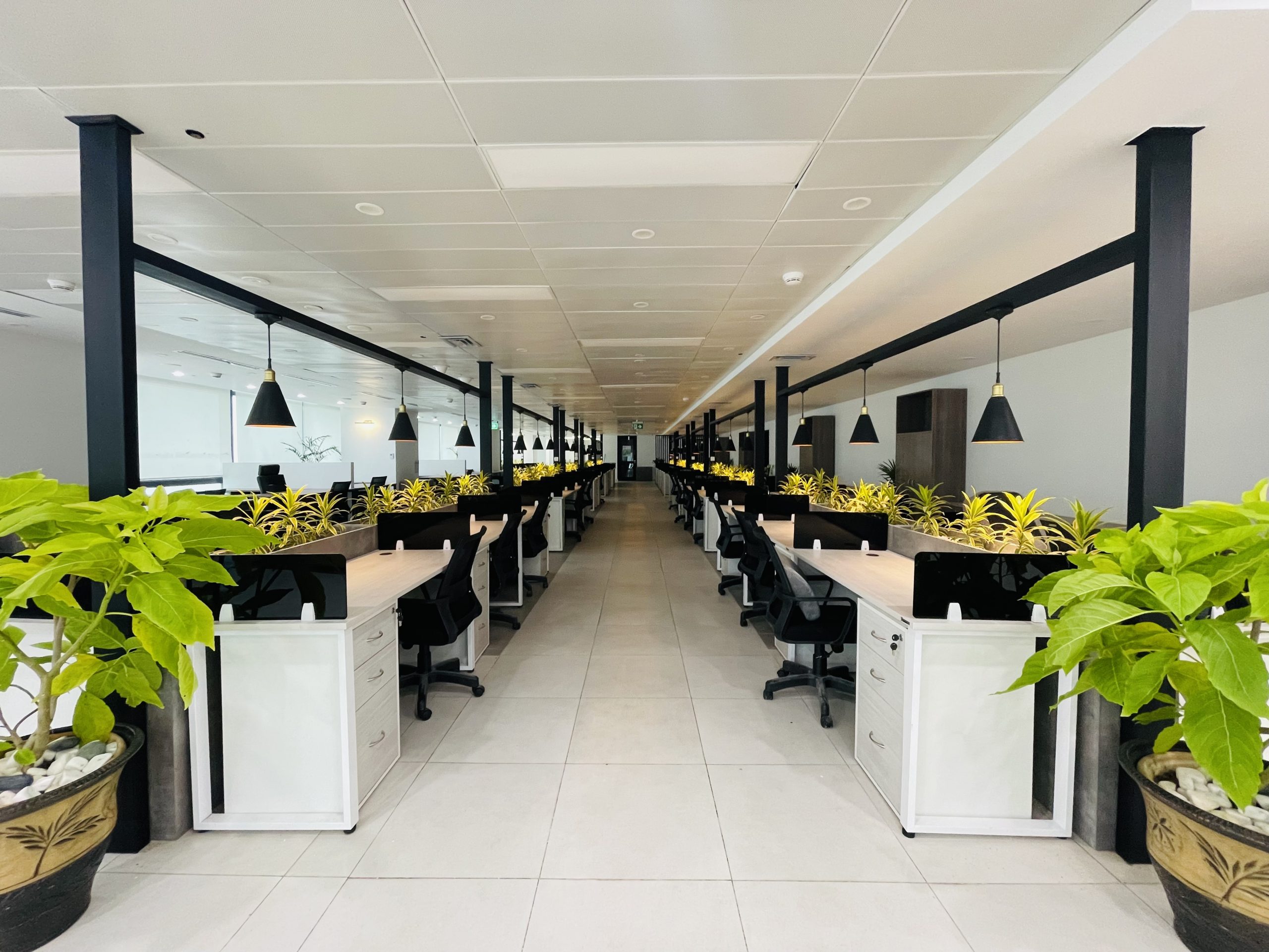 Office insight 3