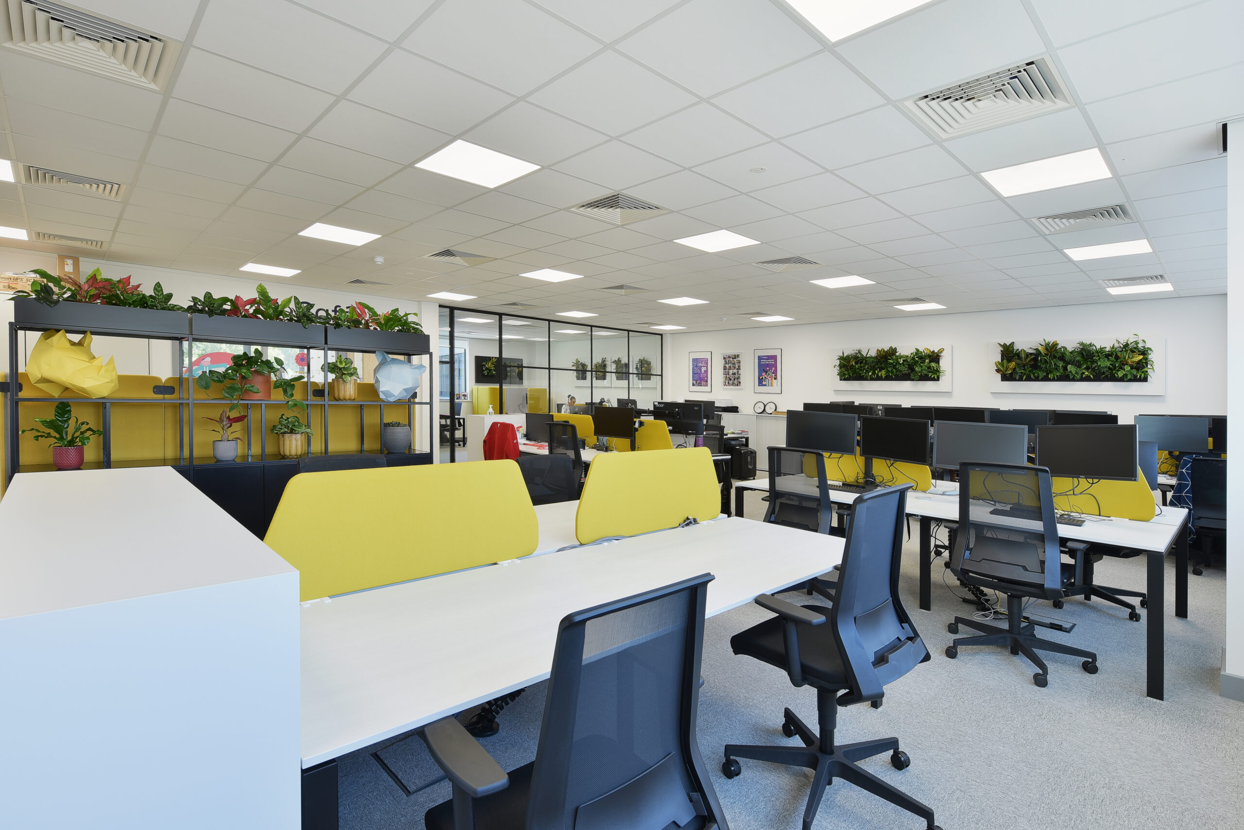 Office insight 4
